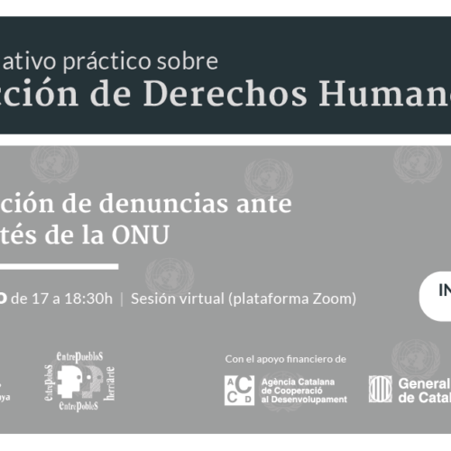 [Ciclo formativo práctico sobre protección de derechos humanos] Sesión II:  Presentación de casos de vulneración y violación de DH ante los Comités de la ONU