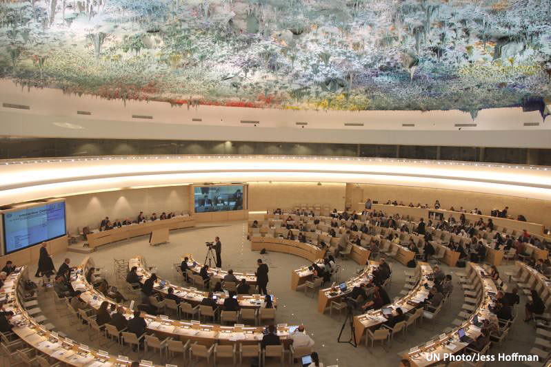 Participación de las entidades sociales en los mecanismos de protección de derechos humanos de las Naciones Unidas