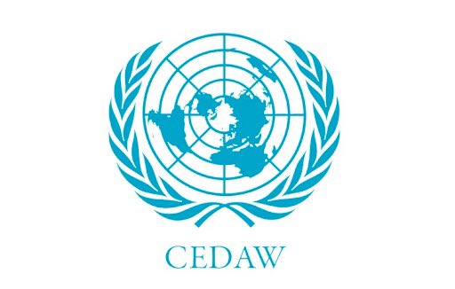 Novè informe periòdic d’Espanya davant del Comitè per a l’Eliminació de la Discriminació contra la Dona (CEDAW)
