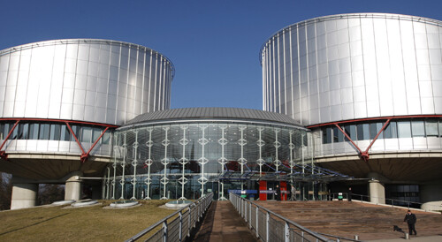 El Consell d’Europa, el Comitè Europeu de Drets Socials i el Tribunal Europeu de Drets Humans