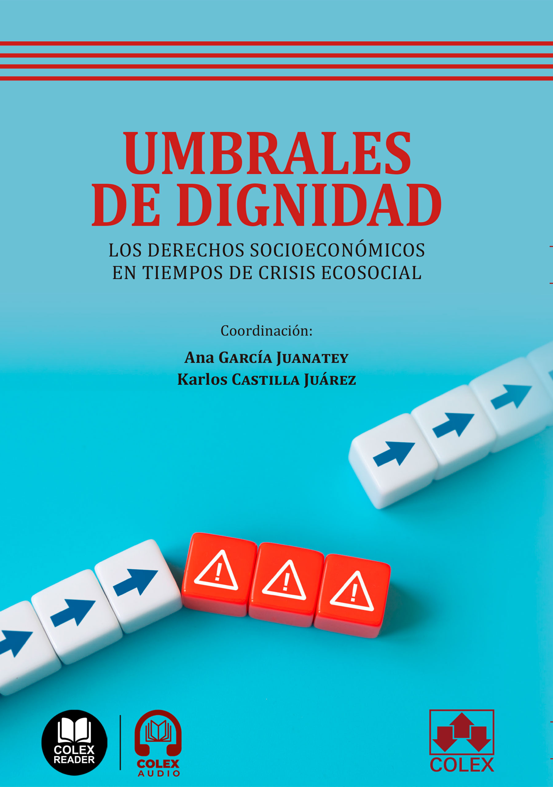 UMBRALES DE DIGNIDAD: los derechos socioeconómicos en tiempos de crisis ecosocial