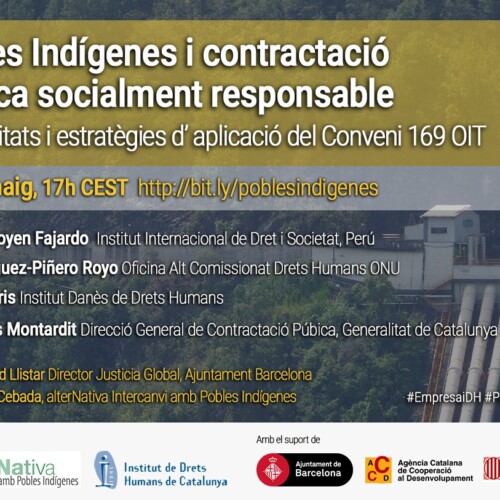 Pueblos Indígenas y contratación pública socialmente responsable: posibilidades y estrategias de aplicación del Convenio 169 OIT