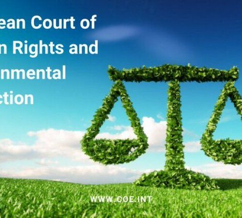 Seminari: La litigació climàtica davant el Tribunal Europeu de Drets Humans