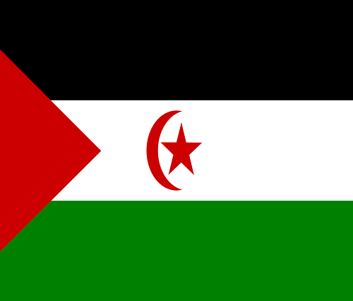Ciclo de Mesas Redondas: La situación de los derechos humanos en el Sáhara Occidental. Los territorios ocupados